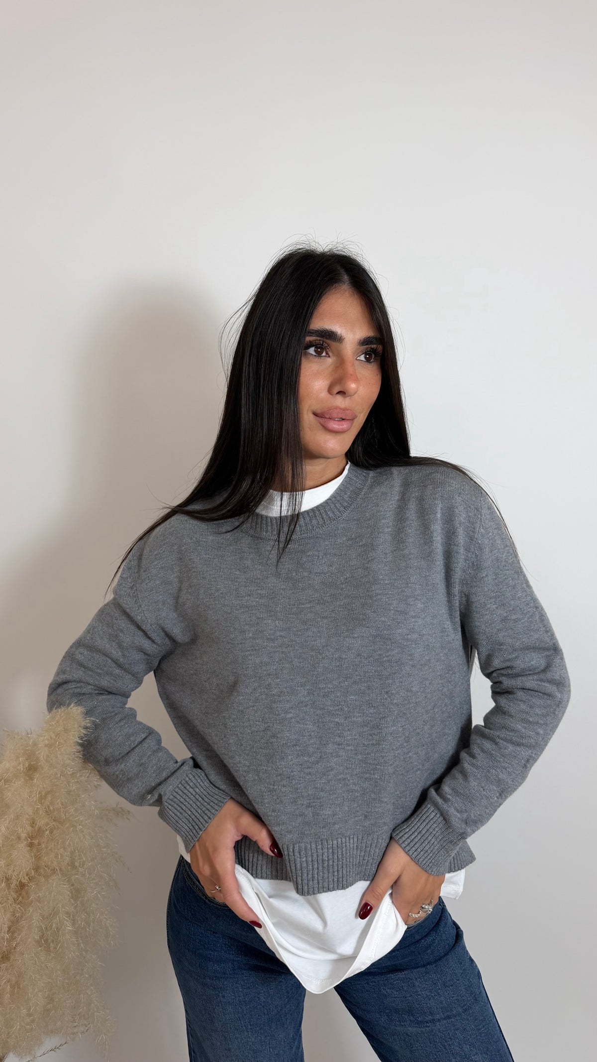 Pull Daily Girocollo Grigio