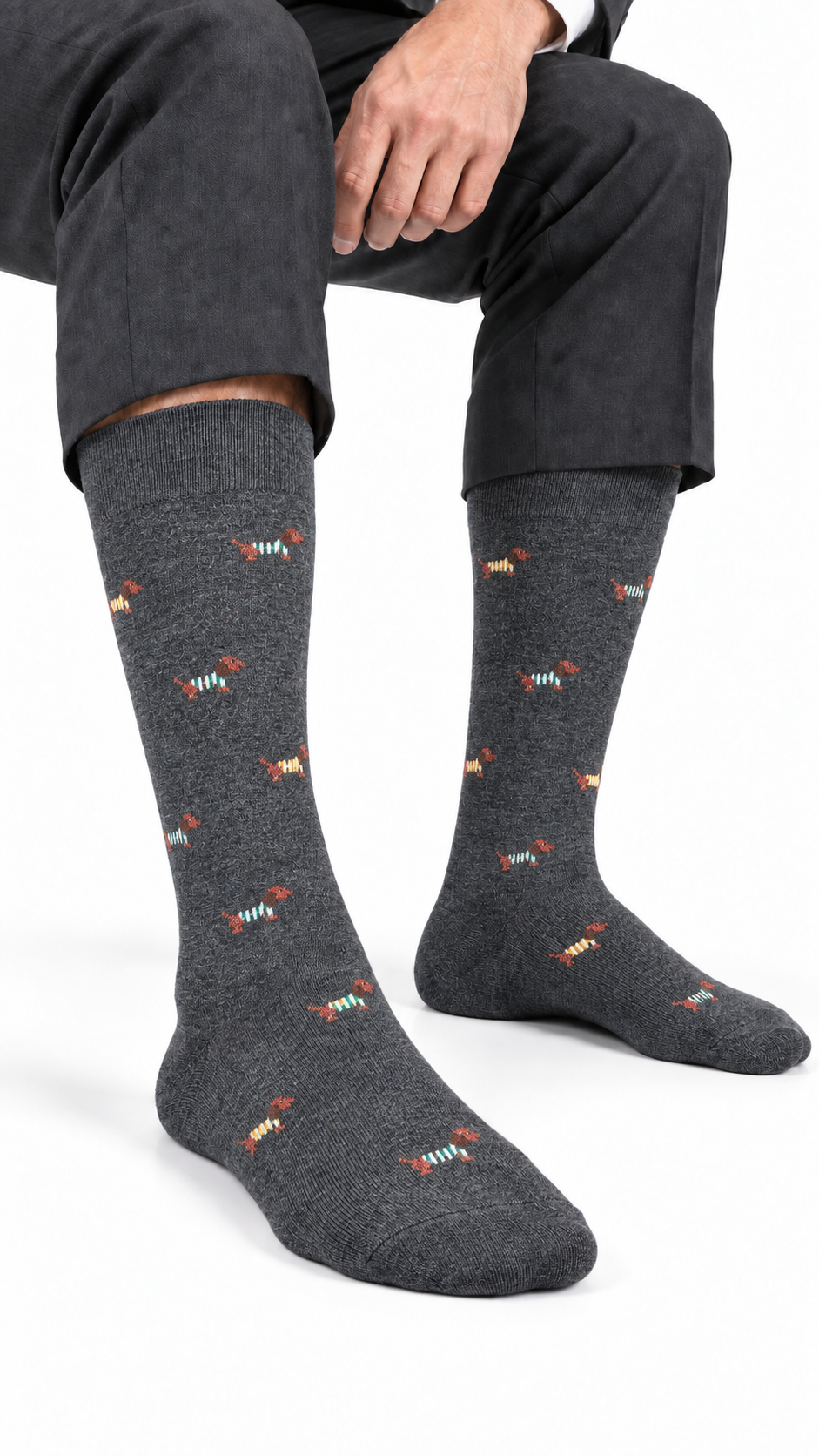 Calza Lunga Uomo Dachshund Piombo