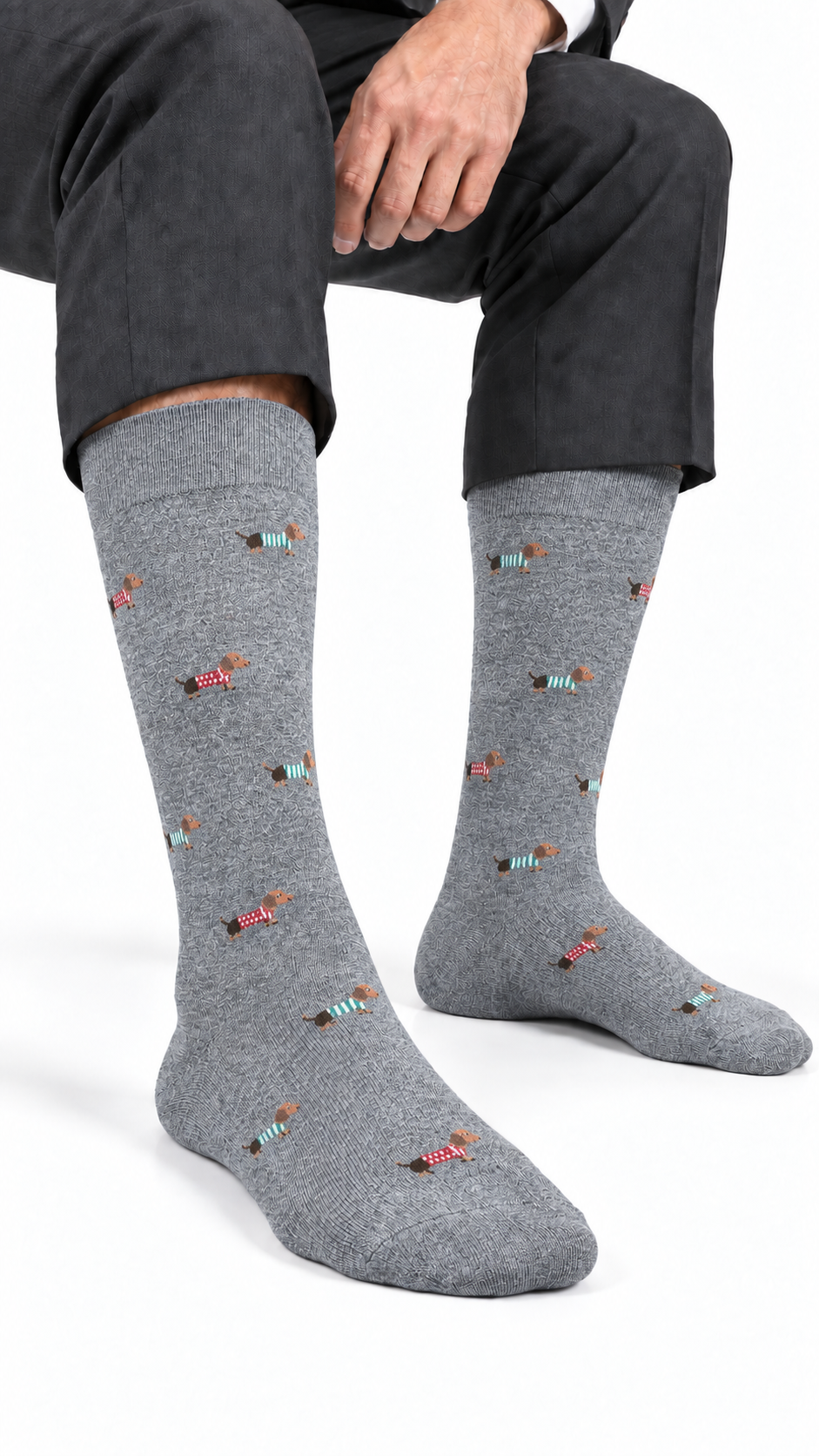 Calza Lunga Uomo Dachshund Grigio